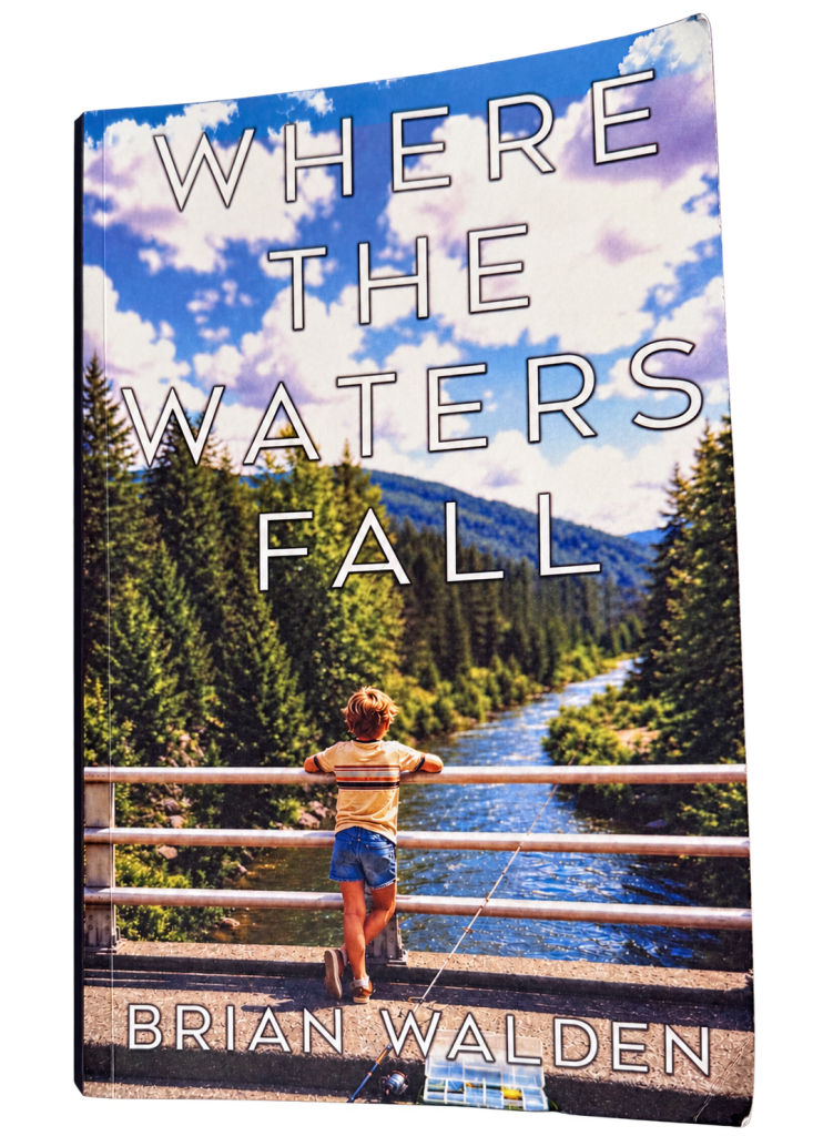 The book cover of the book I am recommending.